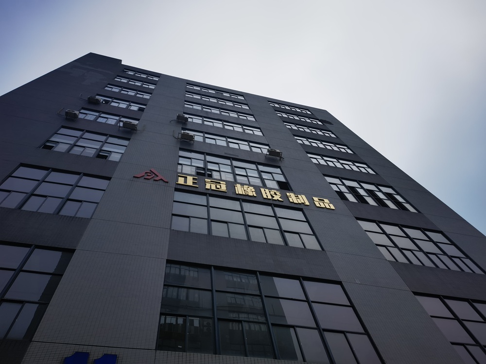 Investition in Präzision: [zhengguan Rubber] eröffnet fortschrittliches Gummi- und Silikontestlabor