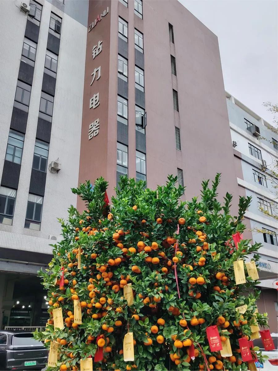 Erste Lieferung nach dem chinesischen Neujahr: Umkehrosmosepumpen mit hohem Drehmoment auf dem Weg ins Ausland – Zuanli-Ro-Pumpe!